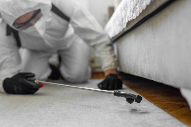 Professional Termite Control technician working in Bremerton, WA
