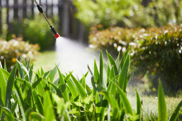 24/7 Emergency Termite Control experts in Bremerton, WA