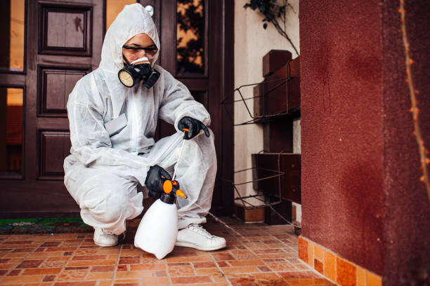 Reliable Termite Control contractor in Bremerton, WA by Nex Pest Control